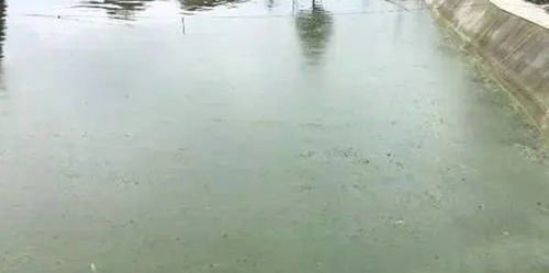 渔有福 冬季水产养殖管理技术