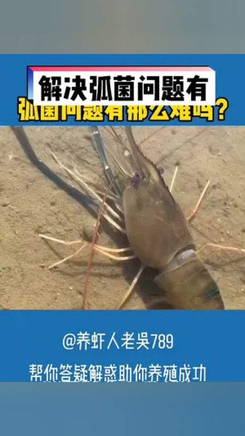 金南农 变声 水产养殖 南美白对虾养殖 鱼虾蟹养殖