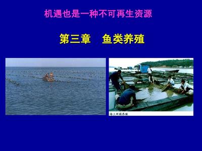 3.1 水产养殖概论-鱼类养殖-鱼你相约PPT