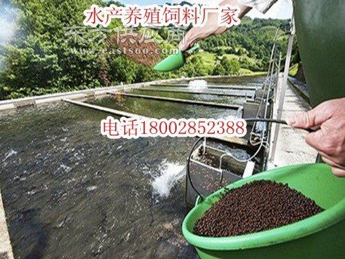 广安邻水无土泥鳅养殖投喂饲料淡水鱼饲料泥鳅水产饲料图片