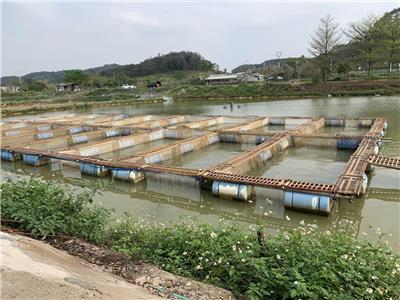 活禽/水产品