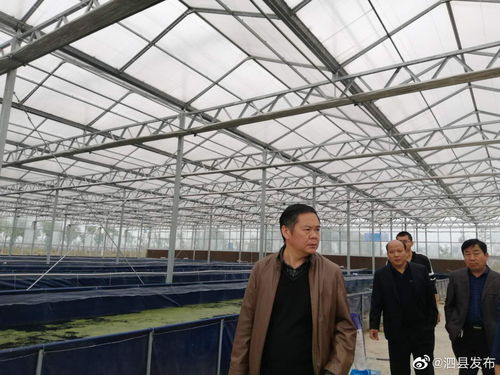 安徽宿州泗县畜牧水产中心领导班子开展工厂化水产养殖专题调研
