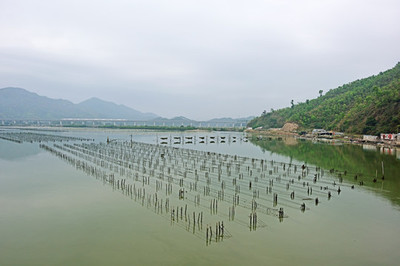 水产养殖场