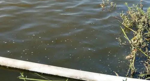 水产养殖过程中,冬季池塘该如何管理 这几点要注意