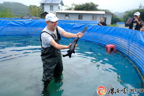 南宁市武鸣区苏宫村水产养殖助增收