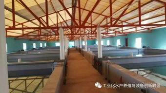 句句精华 陈海龙教你认识什么是工厂化水产养殖系统