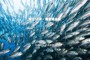 工厂化水产养殖专用漆的生态简介