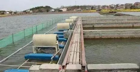 【独家】水产转折,传统养殖户我们怎么办?