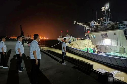 市海洋发展和渔业局严格执法确保滨州市2020年毛虾专项捕捞工作顺利开展