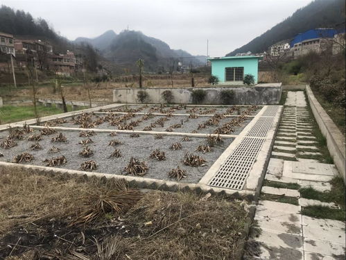 云南水产养殖污水处理设备