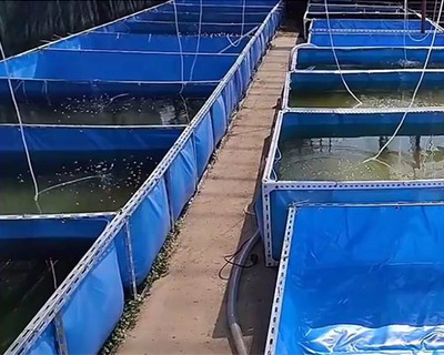 帆布养殖鱼池