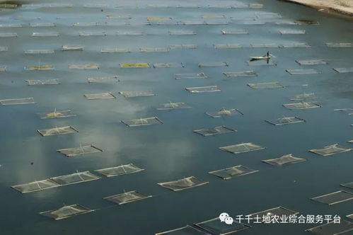 农业部 2018年数字农业建设试点项目申报指南,最高补贴2000万,本月25日截止
