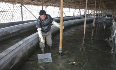 养殖场建在自家确权耕地上,算违章建筑吗?