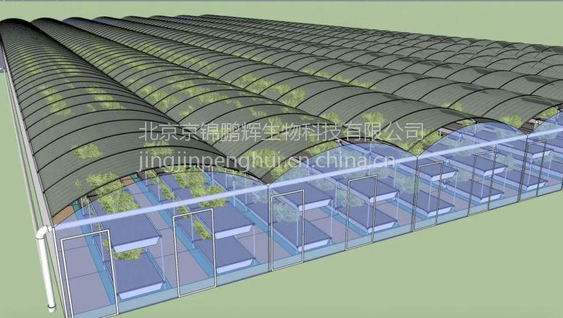 【新型温室大棚鱼菜共生 工厂化循环种植蔬菜养殖水产品】北京新型温