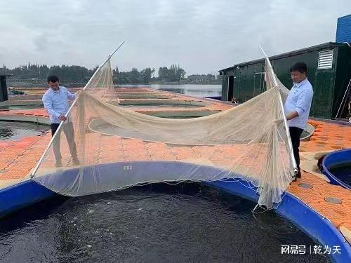 水产养殖鱼虾混养的新选择 长辰渔业池塘循环水养殖