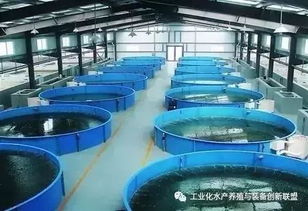 陈海龙解读 工厂化水产养殖系统与渔业捕捞的句句精华