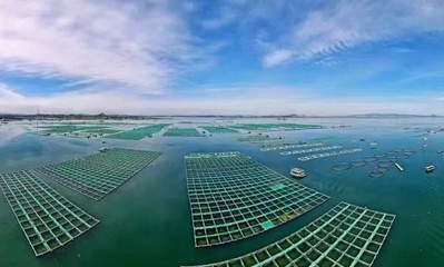 福建漳州多样化海水养殖模式锻造百亿渔业