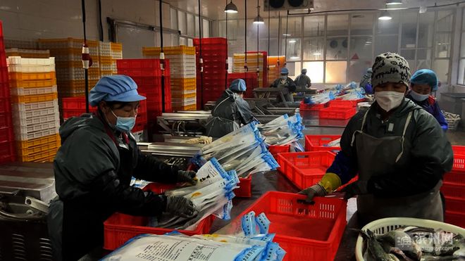滨州60余家渔业企业全力备战春节水产品市场供应