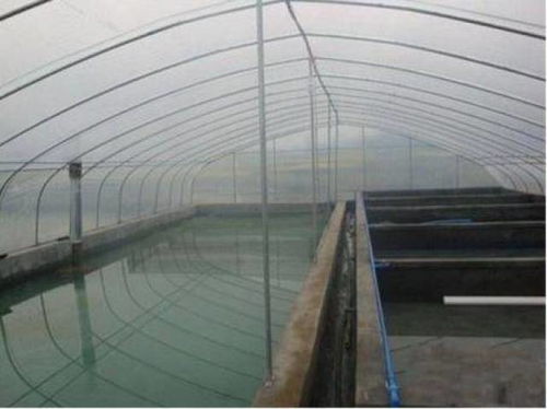 建水产养殖保温大棚，每亩可获1500元奖励！详细申请方法指南