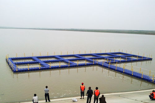 诸暨水产养殖网箱批发与泽沣养殖设备 提升渔业捕捞效率的关键