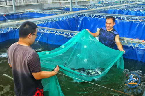 马村 渔梦渐近的渔业捕捞新篇章