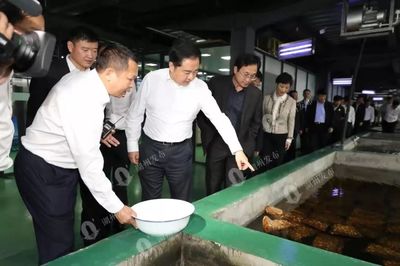 湖州乡村振兴比看亮点 渔业捕捞项目获书记市长点赞